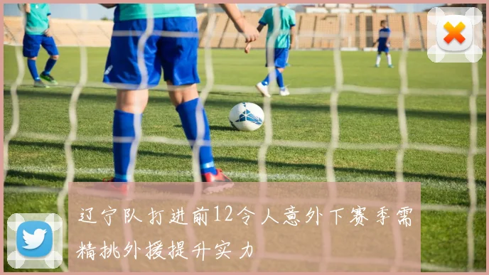 辽宁队打进前12令人意外下赛季需精挑外援提升实力