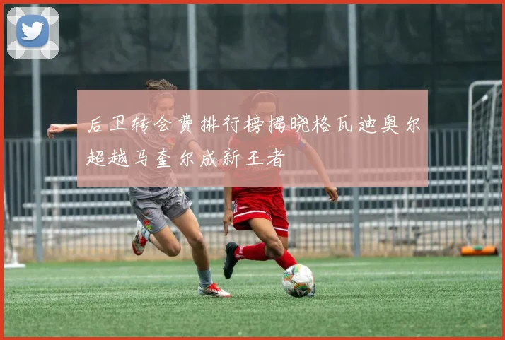 后卫转会费排行榜揭晓格瓦迪奥尔超越马奎尔成新王者